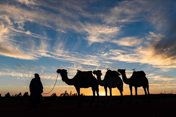 Camel ride