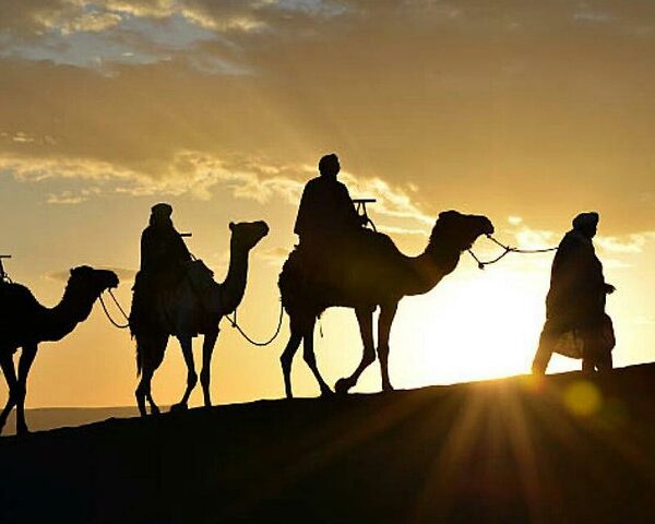 Mon tours Transportation service